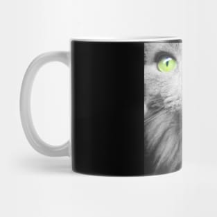 Amazing picture of gray cat with green eyes Mug